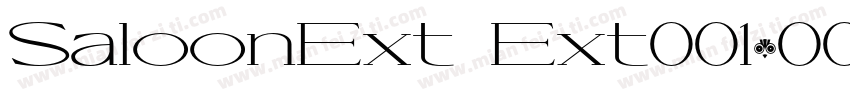 SaloonExt Ext001.001字体转换